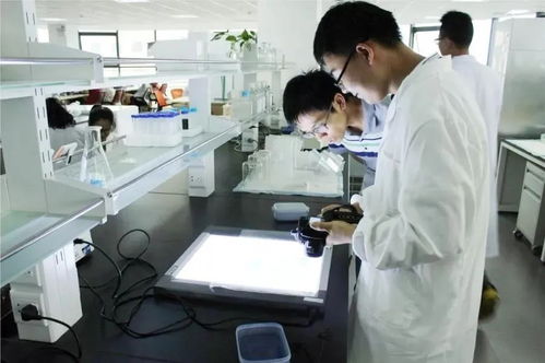 無錫通信技術(shù)開發(fā) 鑄就未來產(chǎn)業(yè)支柱，三分天下有其一