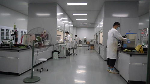 千帆競發(fā)浪潮涌 三門以通信技術(shù)開發(fā)為抓手，全力打造接滬融甬先行區(qū)